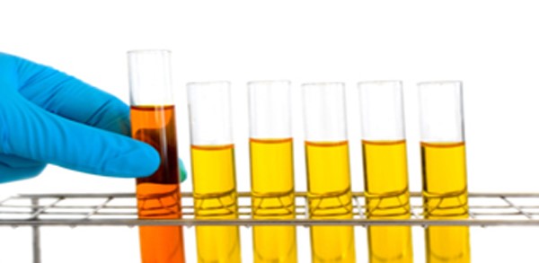 Synthetic Urine 
      Best Rio WV 26755